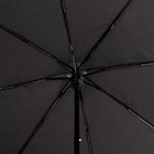 Зонт полуавтоматический «Albert», 3 сложения, 8 спиц, R = 48 см, цвет чёрный - Фото 3