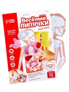 Игра на липучках «Моё тело», анатомия - Фото 2