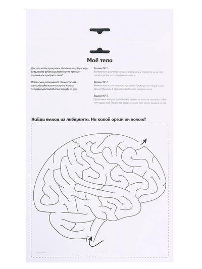 Игра на липучках «Моё тело», анатомия