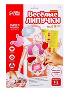 Игра на липучках «Моё тело», анатомия - Фото 6