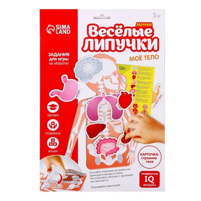 Игра на липучках «Моё тело», анатомия