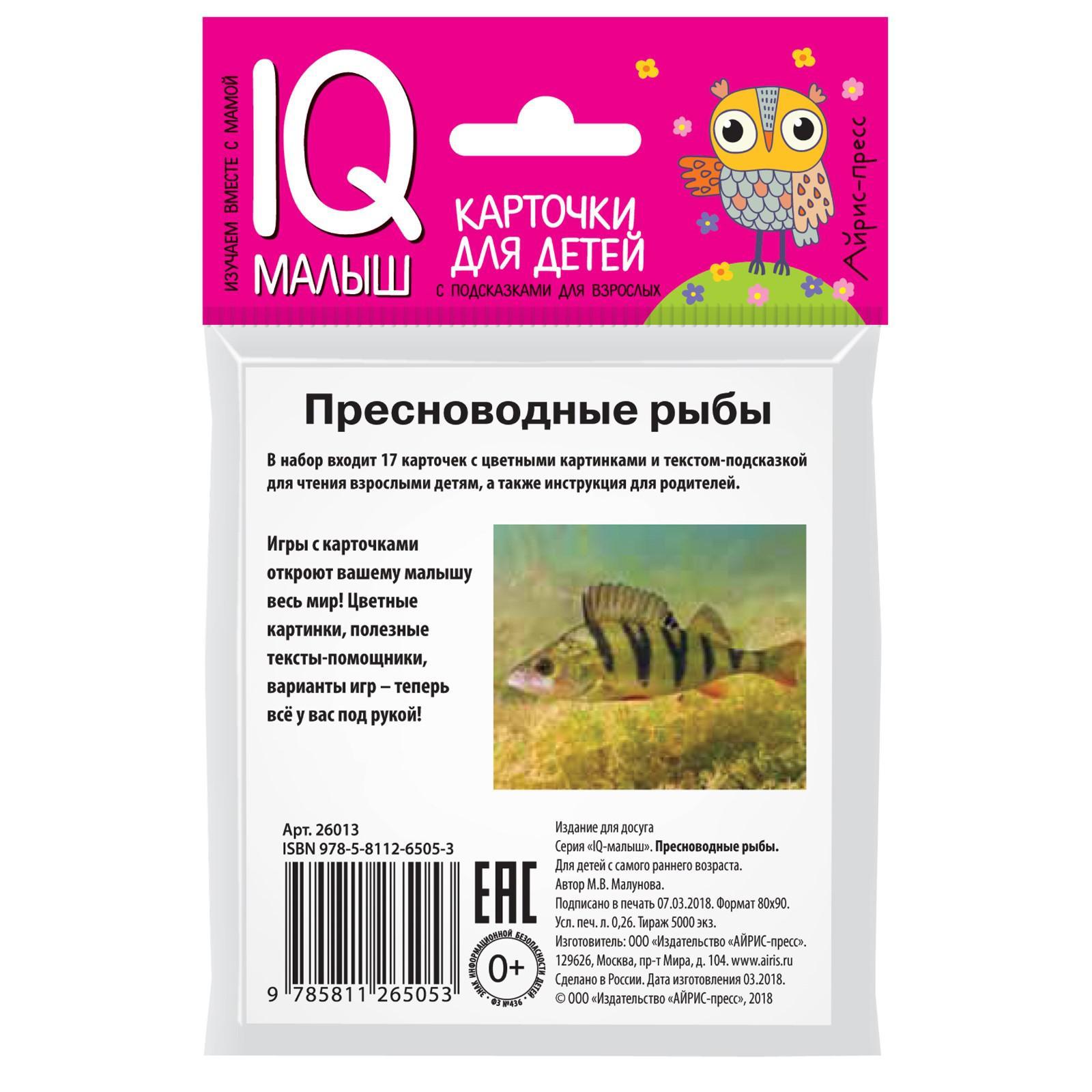 Набор карточек для детей «Пресноводные рыбы». Малунова М. В. (7044914) -  Купить по цене от 52.00 руб. | Интернет магазин SIMA-LAND.RU