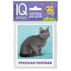 Набор карточек для детей «Породы кошек». Малунова М. В. - фото 110207956
