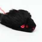 Дразнилка-удочка с чёрной мышью, палочка, микс цветов - фото 7769617