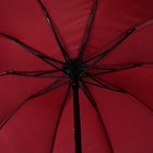 Зонт механический «Матрикс», 4 сложения, 10 спиц, R = 53 см, цвет МИКС - Фото 3