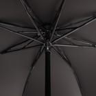 Зонт механический «Пейзаж», 4 сложения, 8 спиц, R = 47 см, цвет МИКС - Фото 3