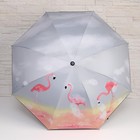 Зонт механический «Пейзаж», 4 сложения, 8 спиц, R = 47 см, цвет МИКС - Фото 7