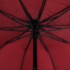 Зонт механический «Aлистер», 4 сложения, 10 спиц, R = 52 см, цвет МИКС - Фото 6