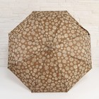 Зонт полуавтоматический «Одуванчики», 3 сложения, 8 спиц, R = 47 см, цвет МИКС - Фото 7