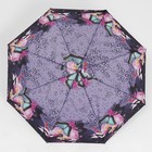 Зонт автоматический «Olivia», эпонж, 3 сложения, 8 спиц, R = 47 см, цвет МИКС - Фото 3