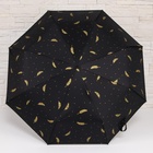 Зонт автоматический «Перья», ветроустойчивый, 3 сложения, 8 спиц, R = 49 см, цвет МИКС - Фото 5