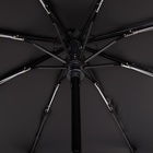 Зонт автоматический «Перья», ветроустойчивый, 3 сложения, 8 спиц, R = 49 см, цвет МИКС - Фото 6