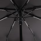 Зонт автоматический «Circus», ветроустойчивый, 3 сложения, 8 спиц, R = 48 см, цвет МИКС - Фото 3