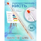 Кисть для рисования, синтетика наклонная №8 Calligrata (d-8 мм ; L-7/9 мм), ручка дерево - Фото 1