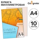 Бумага масштабно-координатная А4 10 листов Calligrata, оранжевая сетка - Фото 1
