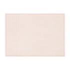 Бумага масштабно-координатная А4 10 листов Calligrata, оранжевая сетка - Фото 5