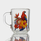 Кружка стеклянная «Тропические птицы», 200 мл, рисунок микс - фото 318539664