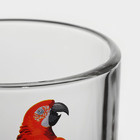 Кружка стеклянная «Тропические птицы», 200 мл, рисунок микс - Фото 4