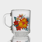 Кружка стеклянная «Тропические цветы», 200 мл, рисунок микс - фото 9279265