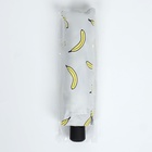 Зонт автоматический «Summer fruit», ветроустойчивый, 3 сложения, 8 спиц, R = 48/55 см, D = 110 см, цвет МИКС - фото 11831965