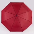 Зонт полуавтоматический «Bradley», 3 сложения, 8 спиц, R = 48 см, цвет МИКС - Фото 2