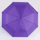 Зонт полуавтоматический «Bradley», 3 сложения, 8 спиц, R = 48 см, цвет МИКС - Фото 8