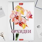 Календарь перекидной на ригеле "Орхидеи" 2022 год, 320х480 мм - Фото 1