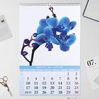 Календарь перекидной на ригеле "Орхидеи" 2022 год, 320х480 мм - Фото 2