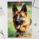Календарь перекидной на ригеле "Породы собак" 2022 год, 320х480 мм - Фото 1