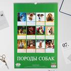 Календарь перекидной на ригеле "Породы собак" 2022 год, 320х480 мм - Фото 3