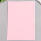 Цветная бумага А4 тонированная (набор 8 лист) 8 цв в папке "Путешественник" 80 гр/м2 - Фото 3