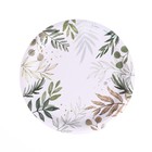 Посуда одноразовая бумажная «Природа», 6 стаканов, 6 тарелок - Фото 4