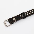 Ошейник кожаный однослойный, клёпаный, 60 х 3 см, ОШ 45-57 см, чёрный - фото 24312979