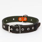 Ошейник комбинированный безразмерный, кожа/брезент, 60×3 см, ОШ 30-57 см, чёрный/зелёный - Фото 2
