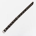 Ошейник комбинированный безразмерный, кожа/брезент, 60×3 см, ОШ 30-57 см, чёрный/зелёный - Фото 3