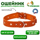 Ошейник кожаный тисненый однослойный, безразмерный, 64 х 3,5 см, ОШ 31-60 см, рыжий - Фото 1