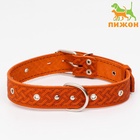 Ошейник кожаный тисненый однослойный, безразмерный, 64 х 3,5 см, ОШ 31-60 см, рыжий - Фото 2