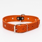 Ошейник кожаный тисненый однослойный, безразмерный, 64 х 3,5 см, ОШ 31-60 см, рыжий - Фото 3