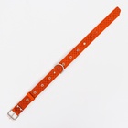 Ошейник кожаный тисненый однослойный, безразмерный, 64 х 3,5 см, ОШ 31-60 см, рыжий - Фото 4