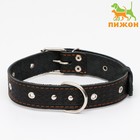 Ошейник кожаный тисненый однослойный, безразмерный, 64 х 3,5 см, ОШ 31-60 см, чёрный - Фото 1