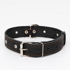 Ошейник кожаный тисненый однослойный, безразмерный, 64 х 3,5 см, ОШ 31-60 см, чёрный - Фото 2