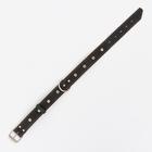 Ошейник кожаный тисненый однослойный, безразмерный, 64 х 3,5 см, ОШ 31-60 см, чёрный - Фото 3