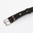 Ошейник кожаный тисненый однослойный, безразмерный, 64 х 3,5 см, ОШ 31-60 см, чёрный - Фото 4