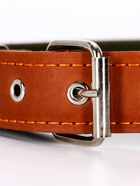 Ошейник комбинированный, безразмерный, 65×3.5 см, ОШ 31-61 см, кожа, брезент, коричневый - Фото 3