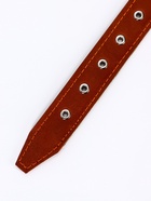 Ошейник комбинированный, безразмерный, 65×3.5 см, ОШ 31-61 см, кожа, брезент, коричневый - Фото 7