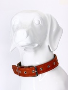 Ошейник комбинированный, безразмерный, 65×3.5 см, ОШ 31-61 см, кожа, брезент, коричневый - Фото 9