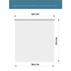 Рулонная штора блэкаут Decofest «Плайн», 160х175 см, цвет белый - Фото 2
