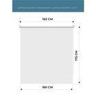 Рулонная штора Decofest «Плайн», 160х175 см, цвет белый - Фото 2