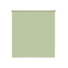 Рулонная штора Decofest «Плайн», 40х160 см, цвет весенний зеленый - фото 296709594