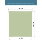 Рулонная штора Decofest «Плайн», 40х160 см, цвет весенний зеленый - Фото 2